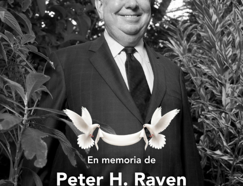 Fallecimiento Peter Raven, una leyenda de la Botánica mundial